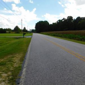 Photo of PENDING!  57.3 Acres of Timber and Farm Land For Sale in Wilson County NC!