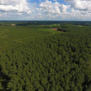 Photo of PENDING!  57.3 Acres of Timber and Farm Land For Sale in Wilson County NC!