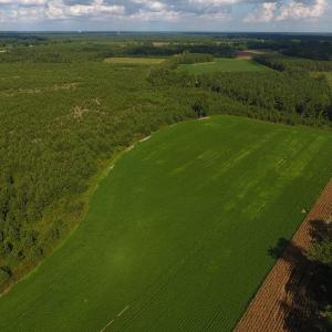 Photo of PENDING!  57.3 Acres of Timber and Farm Land For Sale in Wilson County NC!
