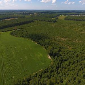 Photo of PENDING!  57.3 Acres of Timber and Farm Land For Sale in Wilson County NC!