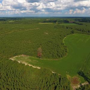 Photo of PENDING!  57.3 Acres of Timber and Farm Land For Sale in Wilson County NC!