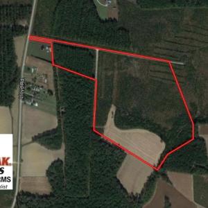 Photo of PENDING!  57.3 Acres of Timber and Farm Land For Sale in Wilson County NC!
