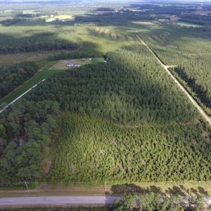 Photo of UNDER CONTRACT!  86.59 Acres of Timber and Hunting Land For Sale in Wilson County NC!