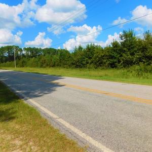 Photo of UNDER CONTRACT!  86.59 Acres of Timber and Hunting Land For Sale in Wilson County NC!