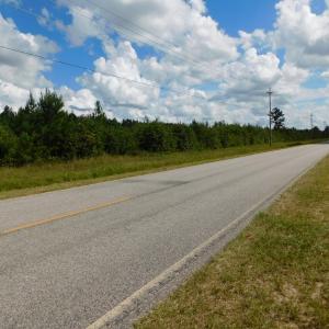 Photo of UNDER CONTRACT!  86.59 Acres of Timber and Hunting Land For Sale in Wilson County NC!