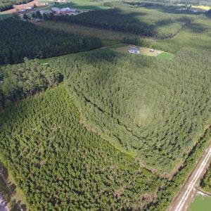Photo of UNDER CONTRACT!  86.59 Acres of Timber and Hunting Land For Sale in Wilson County NC!