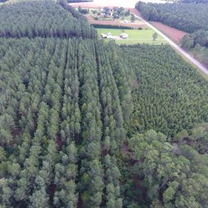 Photo of UNDER CONTRACT!  86.59 Acres of Timber and Hunting Land For Sale in Wilson County NC!
