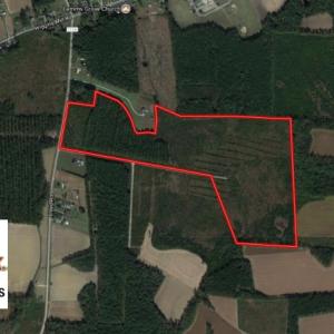 Photo of UNDER CONTRACT!  86.59 Acres of Timber and Hunting Land For Sale in Wilson County NC!