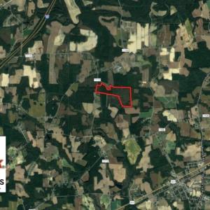 Photo of UNDER CONTRACT!  86.59 Acres of Timber and Hunting Land For Sale in Wilson County NC!