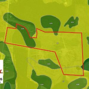 Photo of UNDER CONTRACT!  86.59 Acres of Timber and Hunting Land For Sale in Wilson County NC!