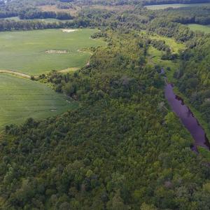Photo of UNDER CONTRACT!  65.57 Acres of Farm and Timber Land For Sale in Wilson County NC!