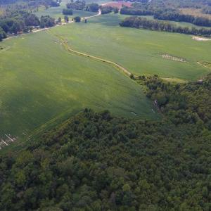 Photo of UNDER CONTRACT!  65.57 Acres of Farm and Timber Land For Sale in Wilson County NC!