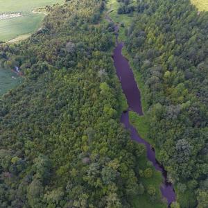 Photo of UNDER CONTRACT!  65.57 Acres of Farm and Timber Land For Sale in Wilson County NC!