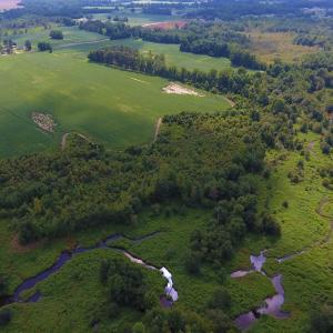 Photo of UNDER CONTRACT!  65.57 Acres of Farm and Timber Land For Sale in Wilson County NC!