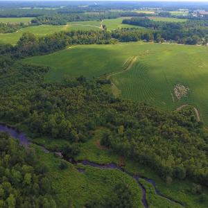 Photo of UNDER CONTRACT!  65.57 Acres of Farm and Timber Land For Sale in Wilson County NC!