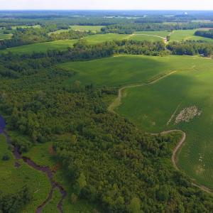 Photo of UNDER CONTRACT!  65.57 Acres of Farm and Timber Land For Sale in Wilson County NC!