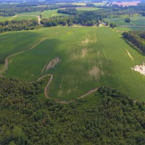 Photo of UNDER CONTRACT!  65.57 Acres of Farm and Timber Land For Sale in Wilson County NC!