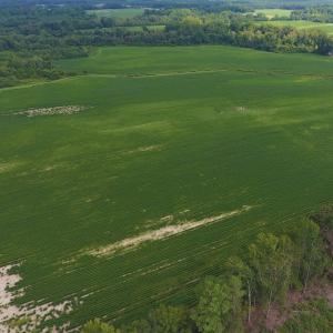 Photo of UNDER CONTRACT!  65.57 Acres of Farm and Timber Land For Sale in Wilson County NC!