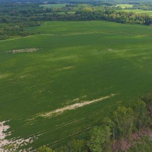Photo of UNDER CONTRACT!  65.57 Acres of Farm and Timber Land For Sale in Wilson County NC!