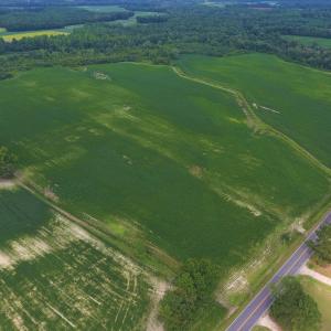 Photo of UNDER CONTRACT!  65.57 Acres of Farm and Timber Land For Sale in Wilson County NC!