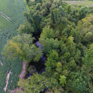 Photo of UNDER CONTRACT!  65.57 Acres of Farm and Timber Land For Sale in Wilson County NC!