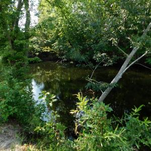 Photo of UNDER CONTRACT!  65.57 Acres of Farm and Timber Land For Sale in Wilson County NC!