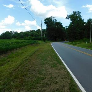 Photo of UNDER CONTRACT!  65.57 Acres of Farm and Timber Land For Sale in Wilson County NC!