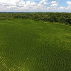 Photo of UNDER CONTRACT!  65.57 Acres of Farm and Timber Land For Sale in Wilson County NC!