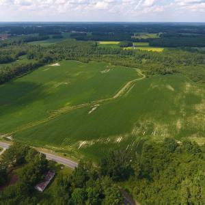 Photo of UNDER CONTRACT!  65.57 Acres of Farm and Timber Land For Sale in Wilson County NC!