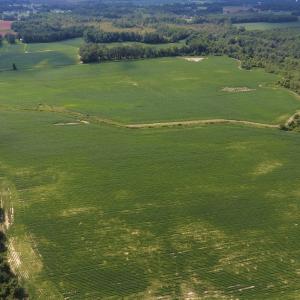 Photo of UNDER CONTRACT!  65.57 Acres of Farm and Timber Land For Sale in Wilson County NC!