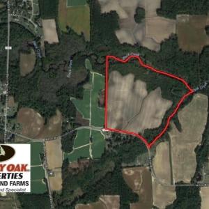Photo of UNDER CONTRACT!  65.57 Acres of Farm and Timber Land For Sale in Wilson County NC!