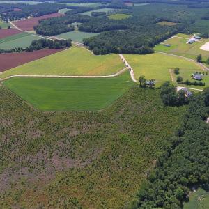 Photo of UNDER CONTRACT!  92.6 Acres of Farm and Timber Land For Sale in Wilson County NC!