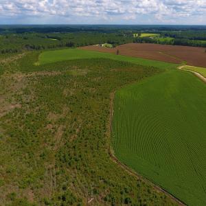 Photo of UNDER CONTRACT!  92.6 Acres of Farm and Timber Land For Sale in Wilson County NC!