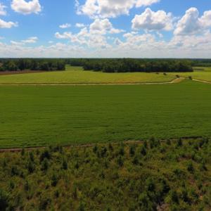 Photo of UNDER CONTRACT!  92.6 Acres of Farm and Timber Land For Sale in Wilson County NC!