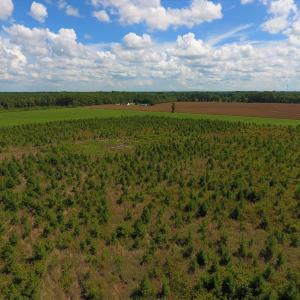 Photo of UNDER CONTRACT!  92.6 Acres of Farm and Timber Land For Sale in Wilson County NC!