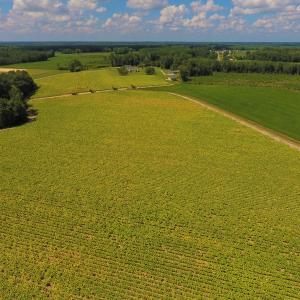 Photo of UNDER CONTRACT!  92.6 Acres of Farm and Timber Land For Sale in Wilson County NC!