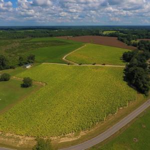 Photo of UNDER CONTRACT!  92.6 Acres of Farm and Timber Land For Sale in Wilson County NC!