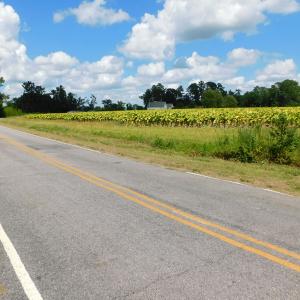Photo of UNDER CONTRACT!  92.6 Acres of Farm and Timber Land For Sale in Wilson County NC!