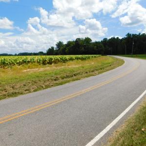 Photo of UNDER CONTRACT!  92.6 Acres of Farm and Timber Land For Sale in Wilson County NC!