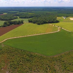 Photo of UNDER CONTRACT!  92.6 Acres of Farm and Timber Land For Sale in Wilson County NC!