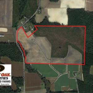 Photo of UNDER CONTRACT!  92.6 Acres of Farm and Timber Land For Sale in Wilson County NC!