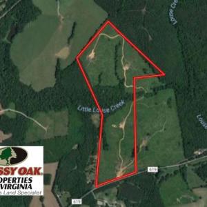 Photo of UNDER CONTRACT!  98 Acres of Hunting and Investment Land For Sale in Charlotte County VA!
