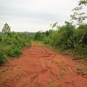 Photo of UNDER CONTRACT!  98 Acres of Hunting and Investment Land For Sale in Charlotte County VA!