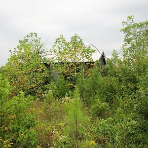 Photo of UNDER CONTRACT!  98 Acres of Hunting and Investment Land For Sale in Charlotte County VA!