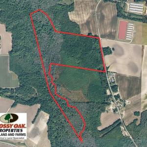 Photo of UNDER CONTRACT!  52 Acres of Hunting and Timber Land For Sale in Robeson County NC!