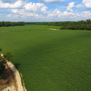 Photo of UNDER CONTRACT!  128.25 Acres of Farm and Timber Land For Sale In Wilson County NC!