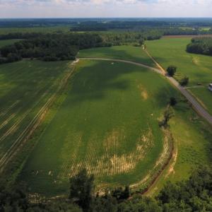 Photo of UNDER CONTRACT!  128.25 Acres of Farm and Timber Land For Sale In Wilson County NC!