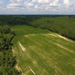 Photo of UNDER CONTRACT!  128.25 Acres of Farm and Timber Land For Sale In Wilson County NC!