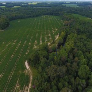 Photo of UNDER CONTRACT!  128.25 Acres of Farm and Timber Land For Sale In Wilson County NC!