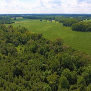 Photo of UNDER CONTRACT!  128.25 Acres of Farm and Timber Land For Sale In Wilson County NC!